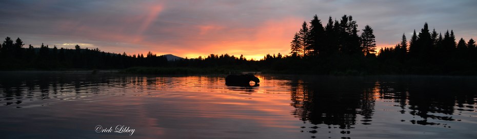 sunsetmoose-930x350westside